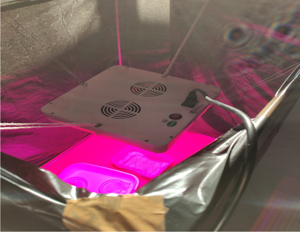 Photo du montage de la germination ayant un éclairage LED