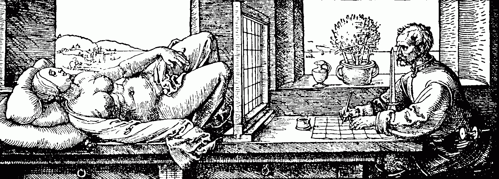 "Le portillon d'Albrecht Dürer 1515":https://en.wikipedia.org/wiki/fr:Albrecht_D%C3%BCrer "Le portillon d'Albrecht Dürer 1515":https://en.wikipedia.org/wiki/fr:Albrecht_D%C3%BCrer